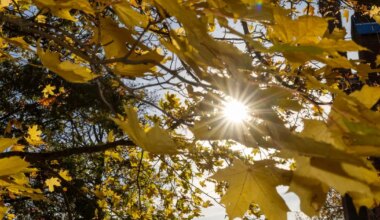 Viljandi sügis asetus soojuselt seitsmendale kohale