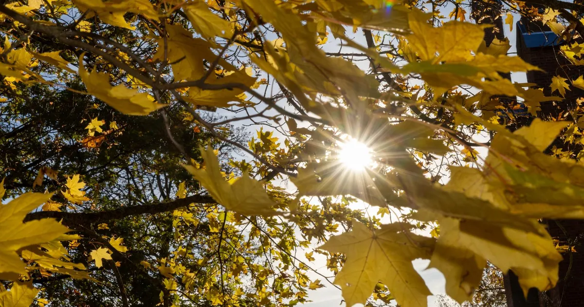 Viljandi sügis asetus soojuselt seitsmendale kohale
