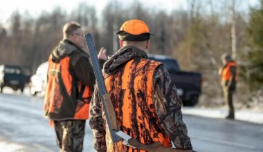 Kaks päeva pärast lisaloa saamist kütiti järjekordne nuhtlushunt - Postimees