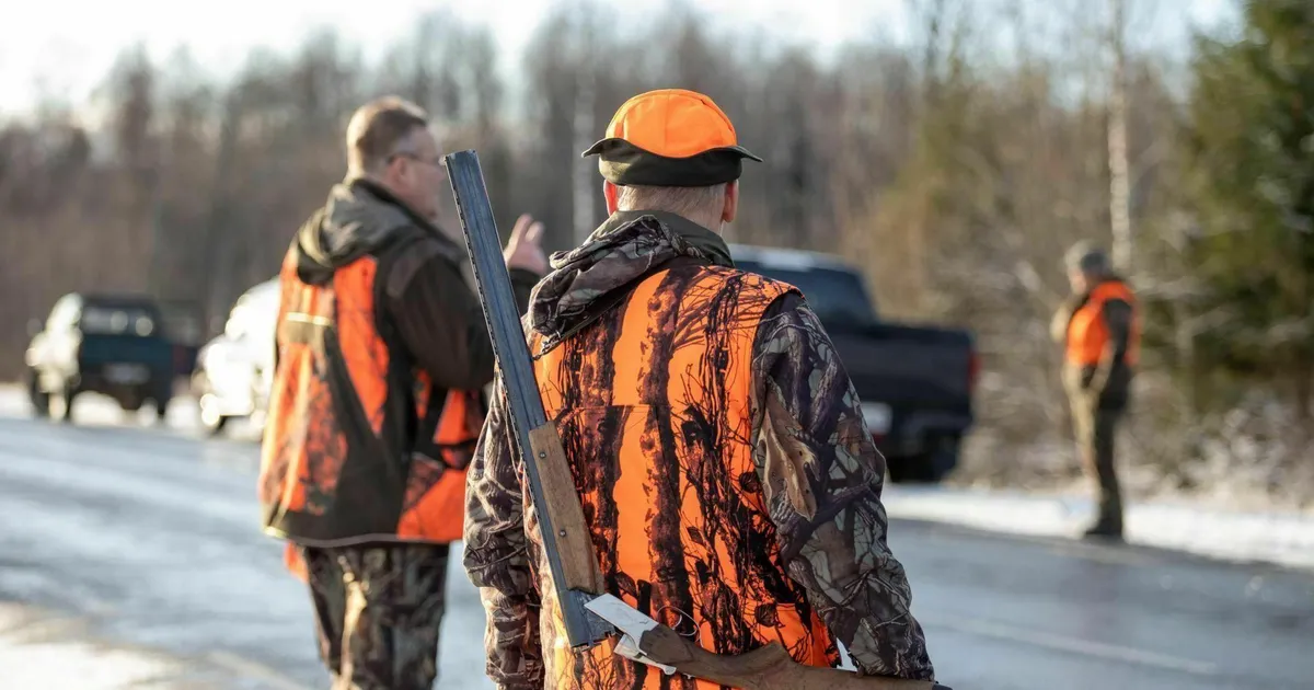 Kaks päeva pärast lisaloa saamist kütiti järjekordne nuhtlushunt - Postimees