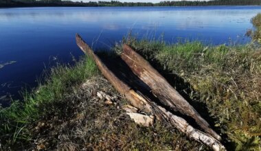 Loodusfotograafi unikaalne leid vajab kaitset lõhkimineku eest