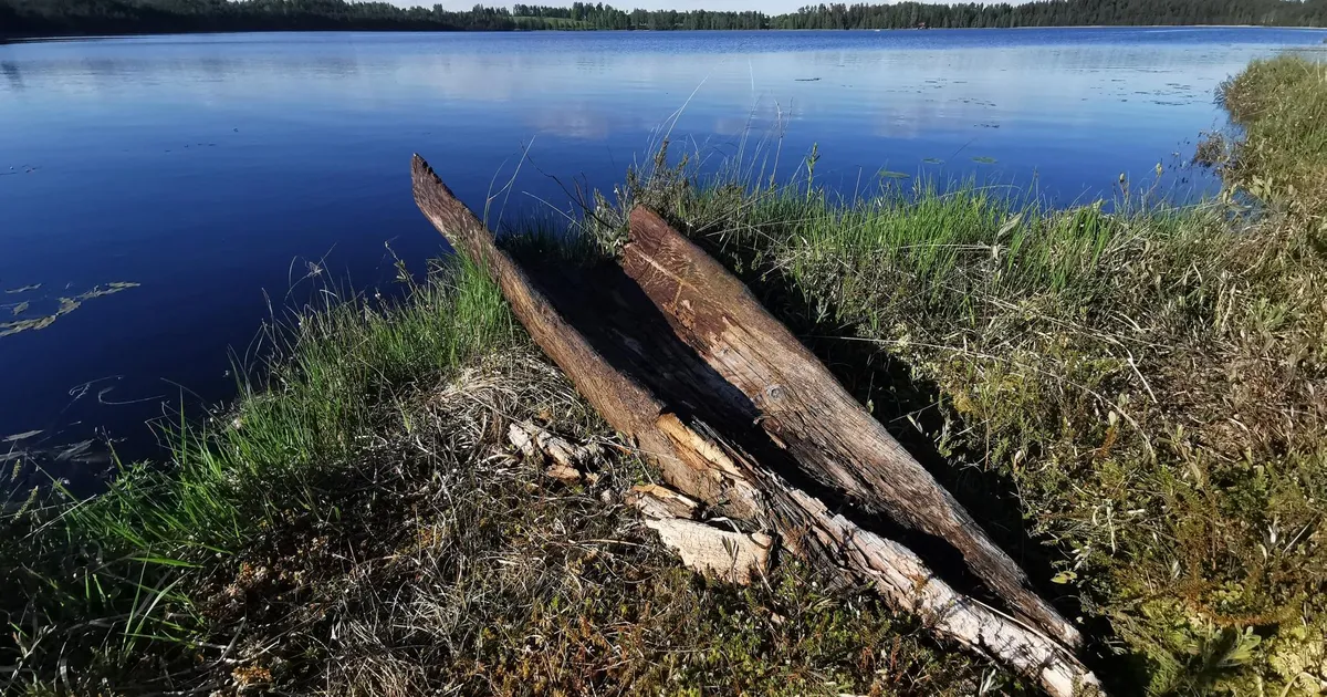 Loodusfotograafi unikaalne leid vajab kaitset lõhkimineku eest