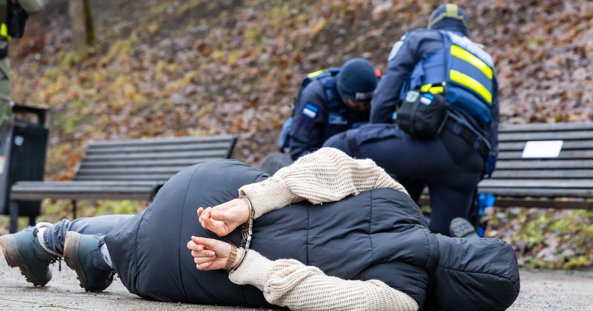 Pikad jõulupühad tõid politseile 100 väljakutset