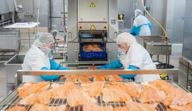 Vätta kalatööstus läheb lätlaste kätte