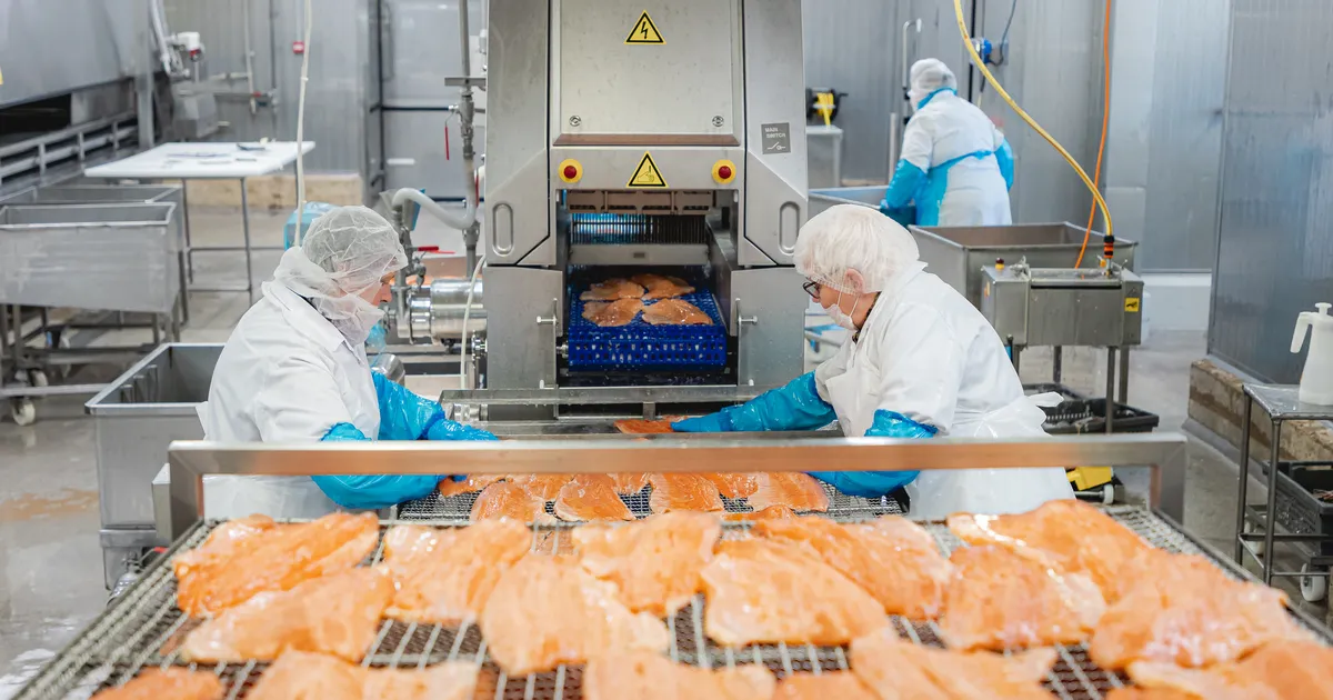 Vätta kalatööstus läheb lätlaste kätte