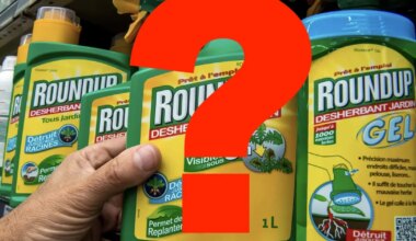 PARAS PAUK ⟩ Teadusartikkel, mis väitis, et Monsanto Roundup on ohutu kuulutati nüüd kehtetuks – 25 aastat hiljem