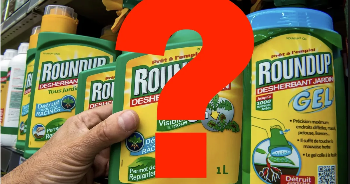 PARAS PAUK ⟩ Teadusartikkel, mis väitis, et Monsanto Roundup on ohutu kuulutati nüüd kehtetuks – 25 aastat hiljem