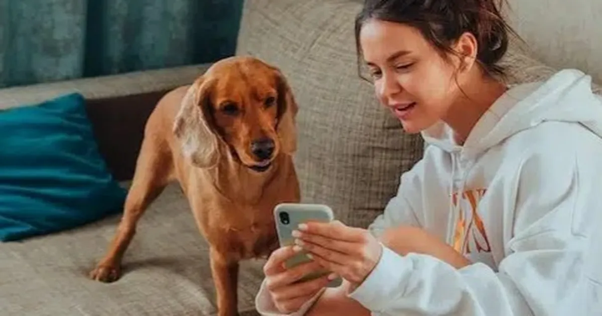 KAVAL NIPP ⟩ Kuidas Austraalia lapsed sotsiaalmeedia administraatoreid ära lollitavad