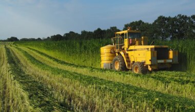 MAAMAJANDUS ⟩ Mahekanep sättis viljelusvõistlustel lati eriti kõrgele