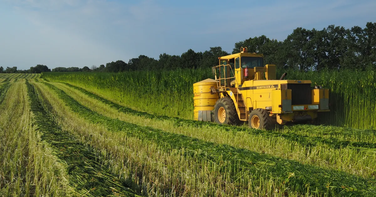 MAAMAJANDUS ⟩ Mahekanep sättis viljelusvõistlustel lati eriti kõrgele