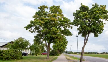 Tammiku aleviku ühiskanalisatsioon uueneb ja laieneb
