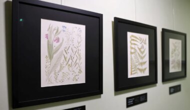 Legendaarse illustraatori Guara Muuga taimejoonistusi saab vaadata näitusel