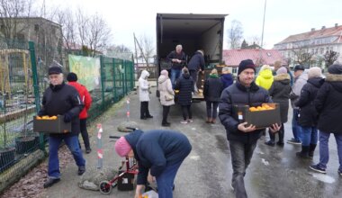 OTSE HISPAANIAST ⟩ Mandariinide järele tuldi lisaks autodele ka aiakärude ja käimisraamidega