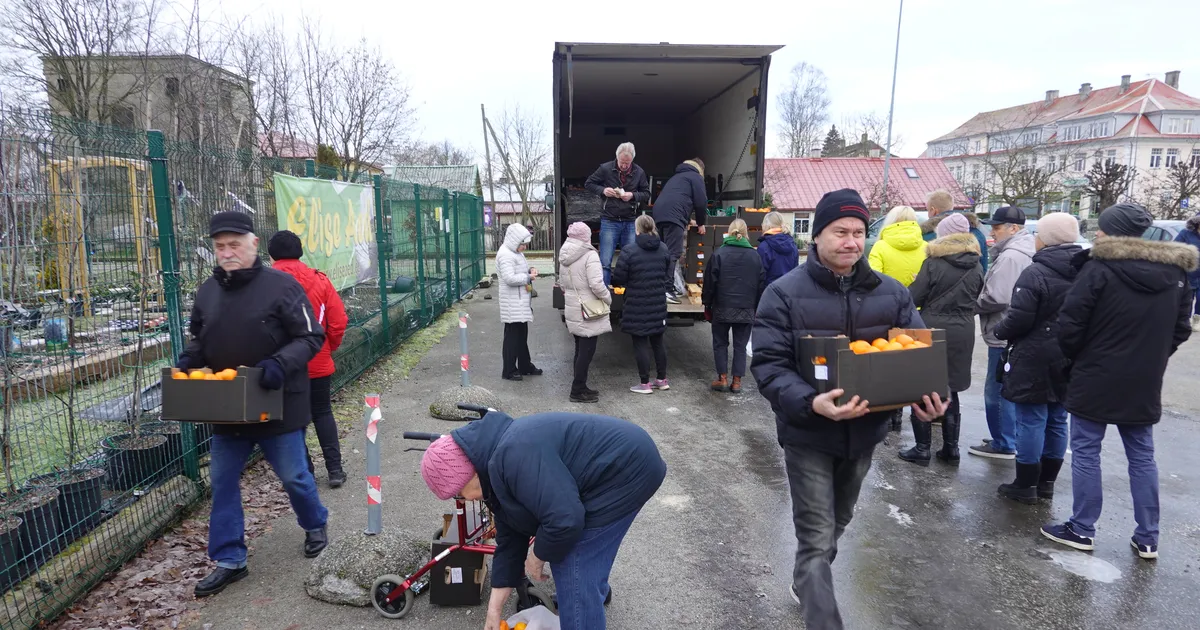 OTSE HISPAANIAST ⟩ Mandariinide järele tuldi lisaks autodele ka aiakärude ja käimisraamidega