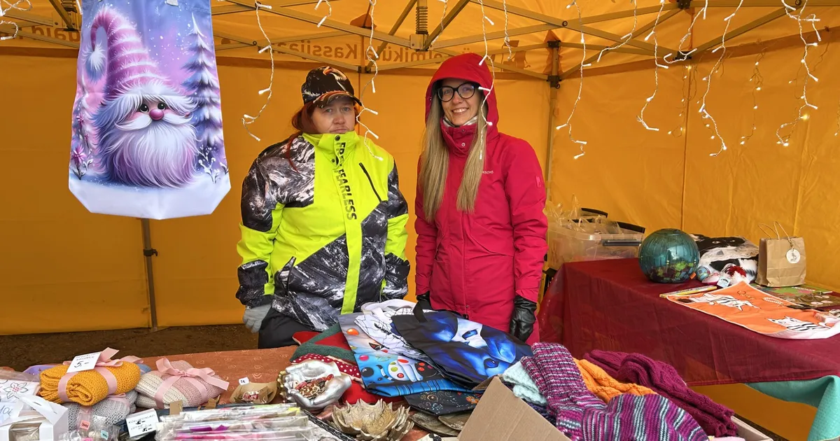 Head inimesed tegid jõuluostudega kassidele pai