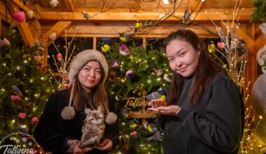 GALERII ⟩ Vaata, kes klõpsisid pilte Tallinna jõuluturul