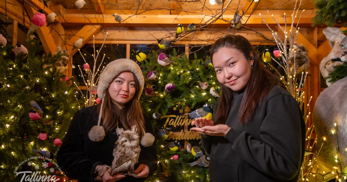 GALERII ⟩ Vaata, kes klõpsisid pilte Tallinna jõuluturul