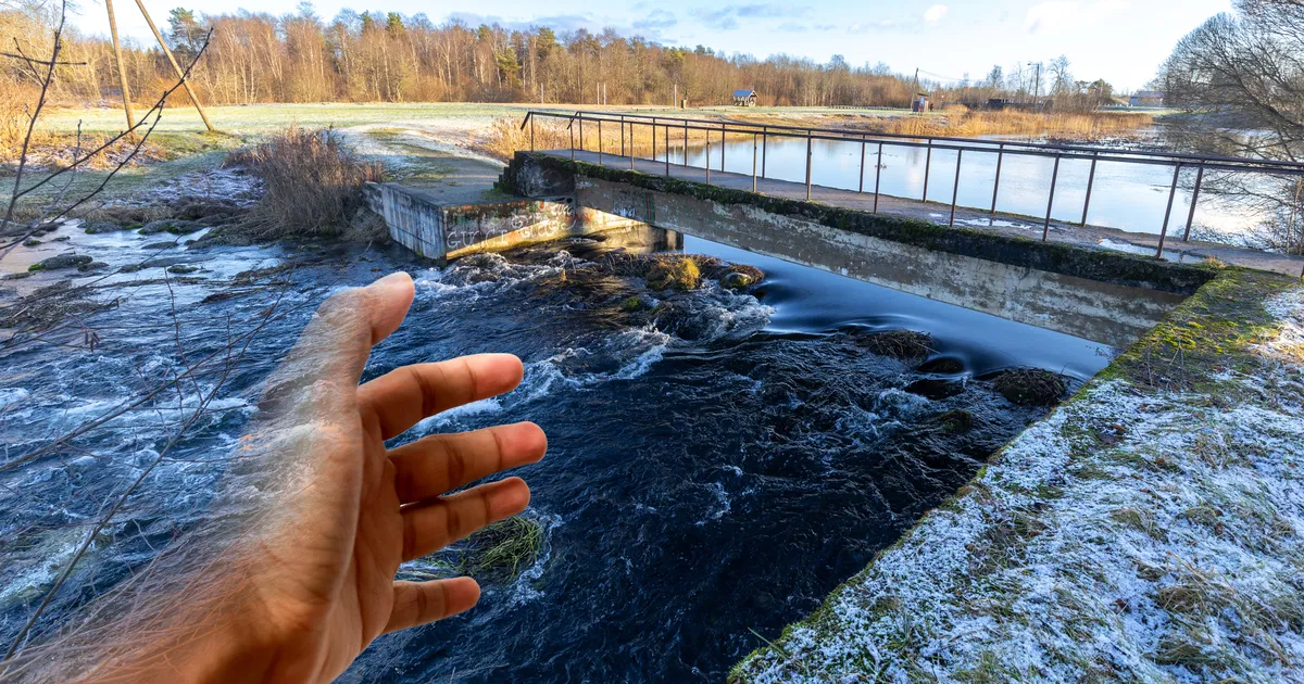 Meedik päästis kaks elu ja sai vastutasuks teate töölepingu lõpetamisest