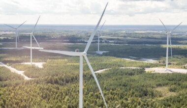 AIN HAVIK ⟩ Miks on Eestis elekter nõnda kallis?