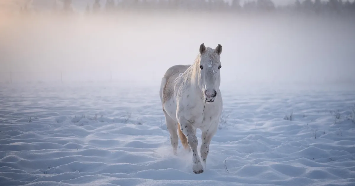 kõige süngem võib olla pööripäev