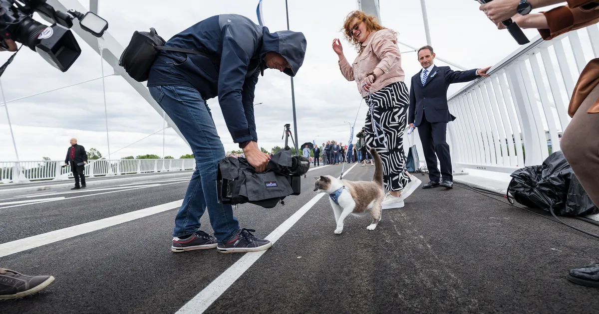 PÄRNU POSTIMEES PILDIS ⟩ 70 fotokaadrit Pärnumaa elust ja inimestest