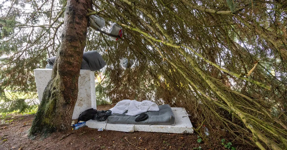 Tundmatu seadis end Viljandi raekoja ees jõuluks ehitud kuuse all sisse