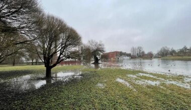 Rahvaaia tiikide veetaseme probleem leiab lahenduse järgmisel aastal