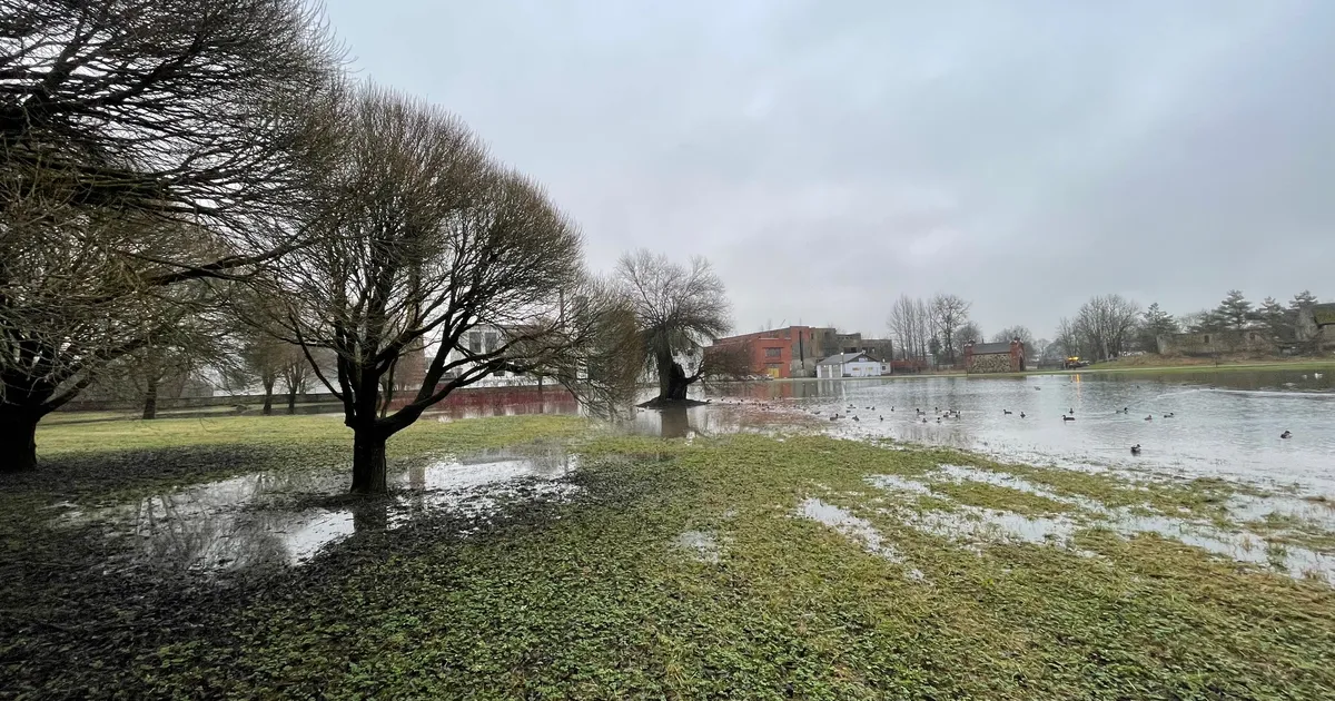 Rahvaaia tiikide veetaseme probleem leiab lahenduse järgmisel aastal