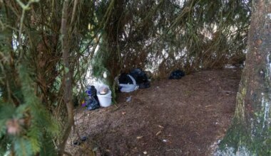 Viljandi raekojaplatsi kuuse alla sisseseatud elupaik kadus pimeduse varjus