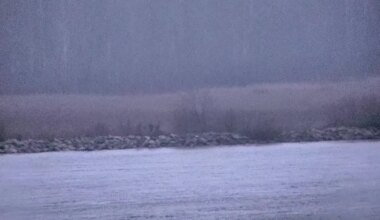 Piiriesindajate kohtumisel jäid pooled ebaseadusliku piiriületuse asjus eriarvamusele - Postimees