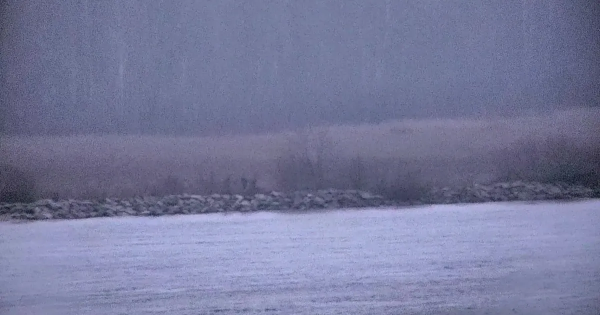 Piiriesindajate kohtumisel jäid pooled ebaseadusliku piiriületuse asjus eriarvamusele - Postimees