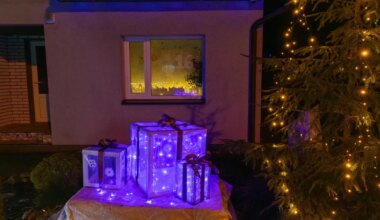 Abja-Paluoja muutus jõulukuul advendikalendriks - Sakala