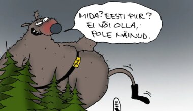 JUHTKIRI ⟩ Piirivalvurite väljasõit rohelusse - Arvamus