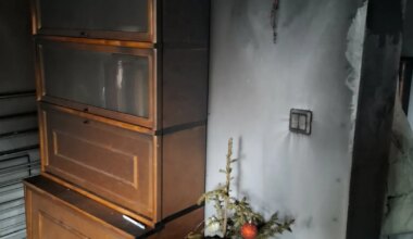 AITA LEIDA! ⟩ «Läksime vaid tunniks kodust ära!» Tallinlanna kaotas enne jõule põlengus kodu, pere lemmik läks kaduma