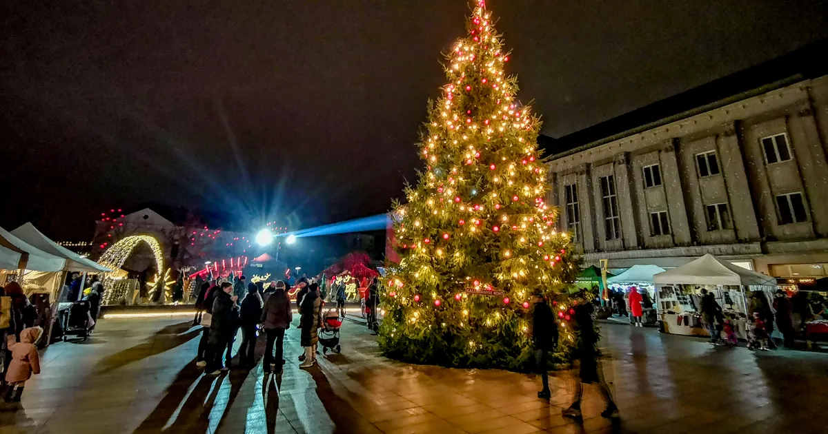 GALERII ⟩ Jõulukaunistuste konkursi parimad pälvisid tunnustuse