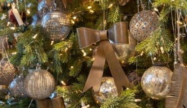 Päästeameti meeldetuletus: kuidas veeta pühad ohutult - Sakala