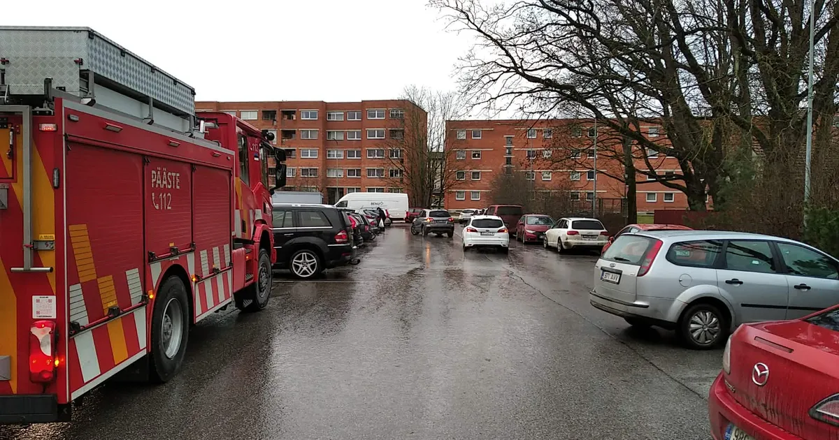 Paide popimad toidupoed töötavad oma täisvõimsuses