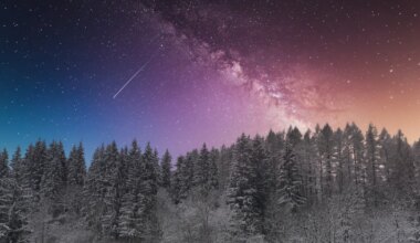 NÄDALAPROGNOOS ⟩ Jõulud mööduvad kõige õnnelikumalt neil, kes ootusi ei loo: nädalalõpp võib tuua lepitust