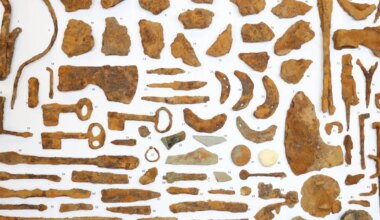 Aasta leid koguti täies hiilguses ühele pildile