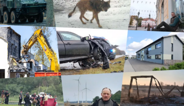 TIPP 30 ⟩ Hullunud tapjast luurava hundini – need olid 2025. aastal Tartu Postimehe loetumad lood