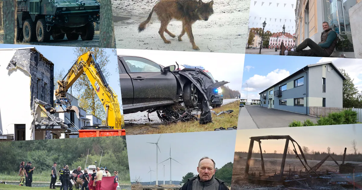 TIPP 30 ⟩ Hullunud tapjast luurava hundini – need olid 2025. aastal Tartu Postimehe loetumad lood