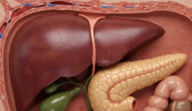 PANE TÄHELE ⟩ Need märgid näitavad, et maks ei ole terve