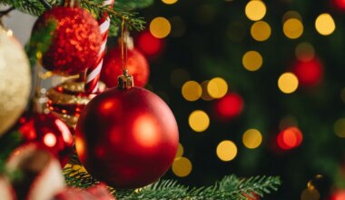 Kaalude jaoks on jõululaupäeva meeleolud positiivsed, Kaljukits vajab rohkem seltskondlikku suhtlust