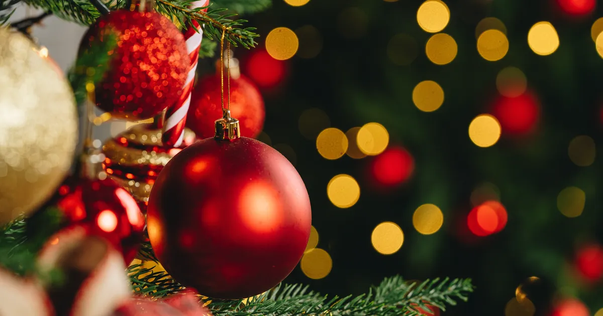 Kaalude jaoks on jõululaupäeva meeleolud positiivsed, Kaljukits vajab rohkem seltskondlikku suhtlust