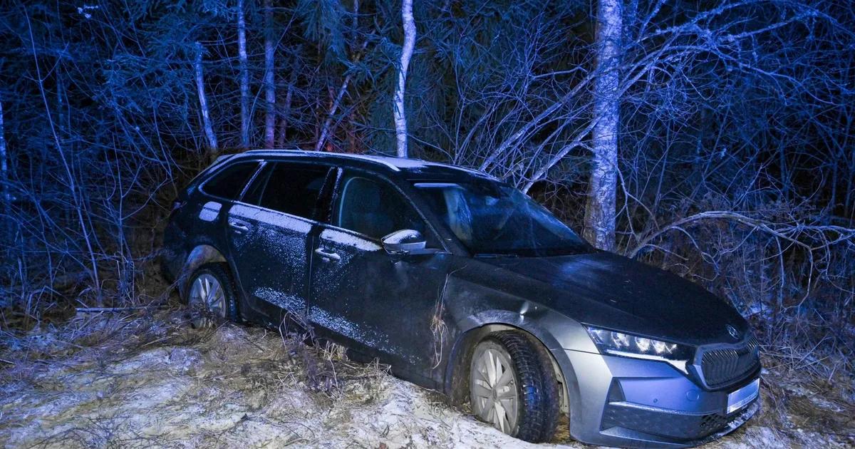 Joobes juht sõitis Mulgi vallas vastu puid