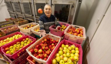 TOIVO UNIVER ⟩ Juubilarist õunateadlane nopib elutöö vilju