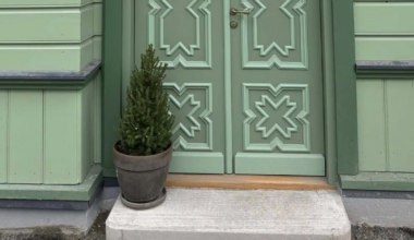 maja eest varastati betoonvaasiga jõulukuusk