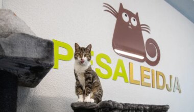 Aasta lõpus ootab kodu veel üle saja nurrumootori