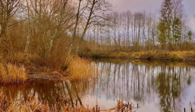 FOTO ⟩ «Vahva üllatus!» Keila pargis avaneb möödujatele imeline vaatepilt