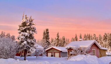 Lõvile pakuvad huvi teiste inimeste saladused, Sõnni päeva sobiks visiit lapsepõlvekoju